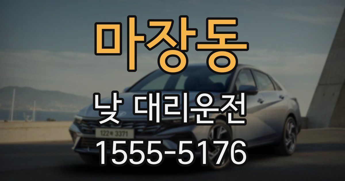 마장동 낮 대리운전