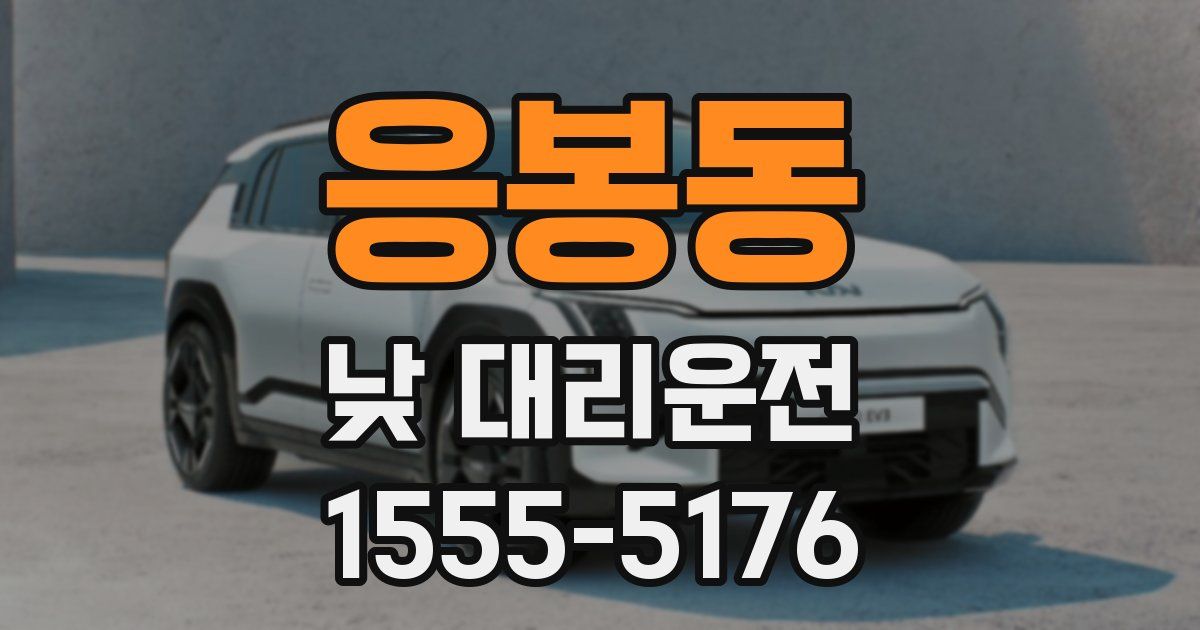응봉동 낮 대리운전
