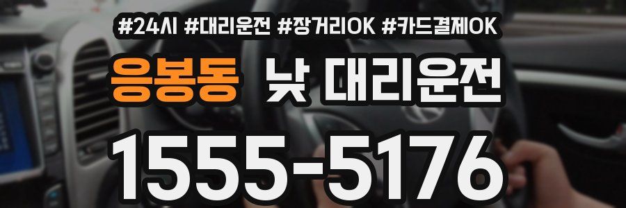 응봉동 낮 대리운전