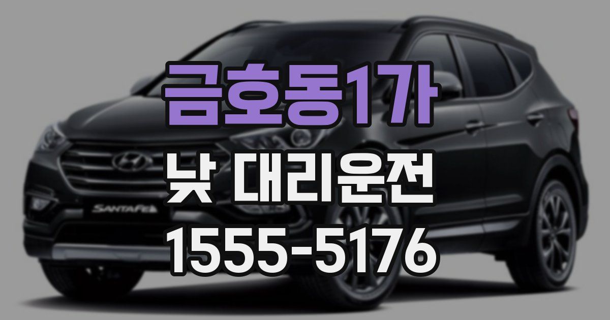 금호동1가 낮 대리운전