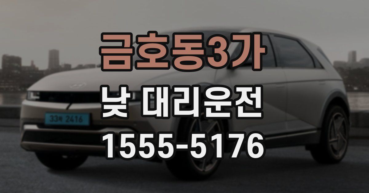 금호동3가 낮 대리운전