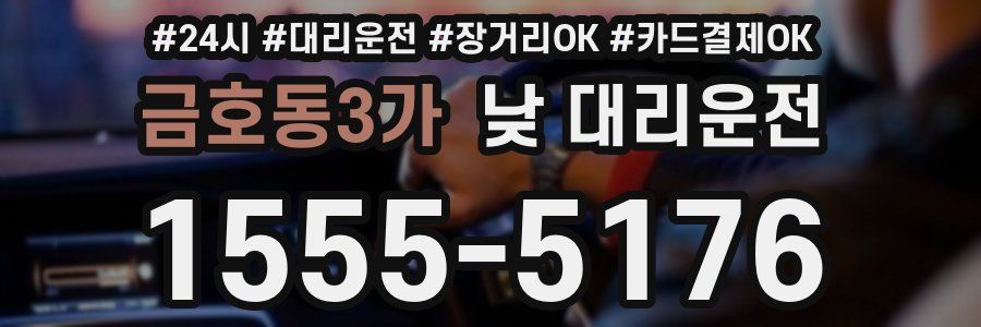 금호동3가 낮 대리운전