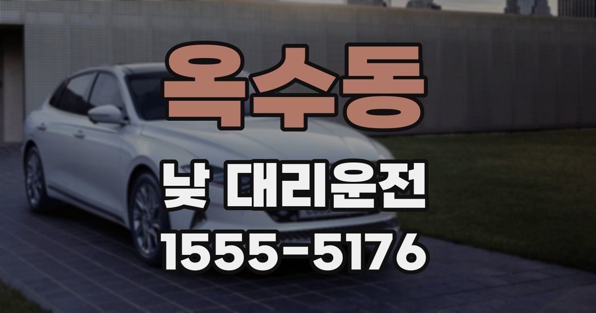 옥수동 낮 대리운전