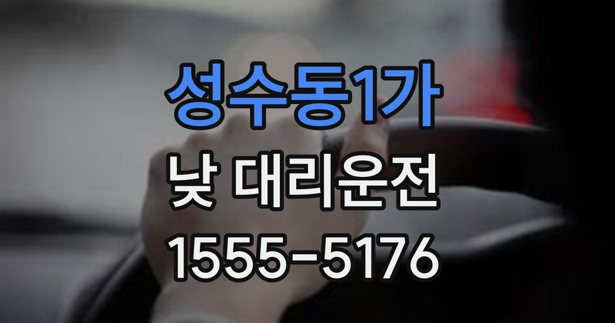 성수동1가 낮 대리운전