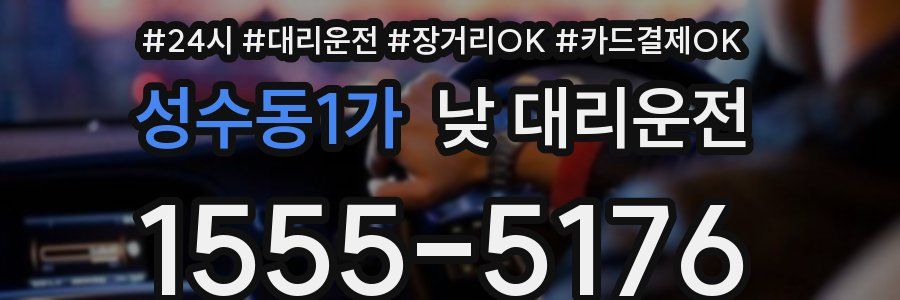 성수동1가 낮 대리운전