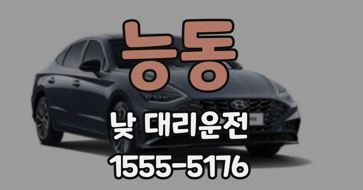 능동 낮 대리운전
