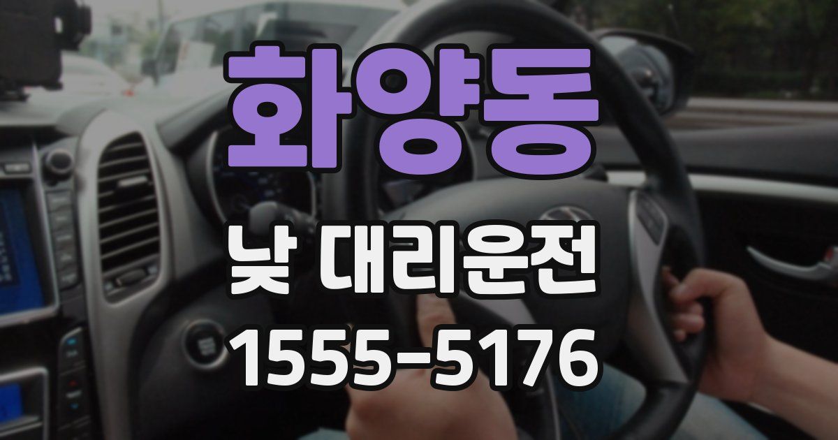 화양동 낮 대리운전