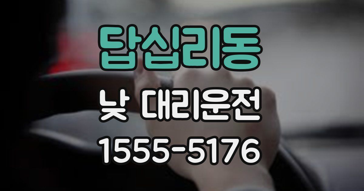 답십리동 낮 대리운전