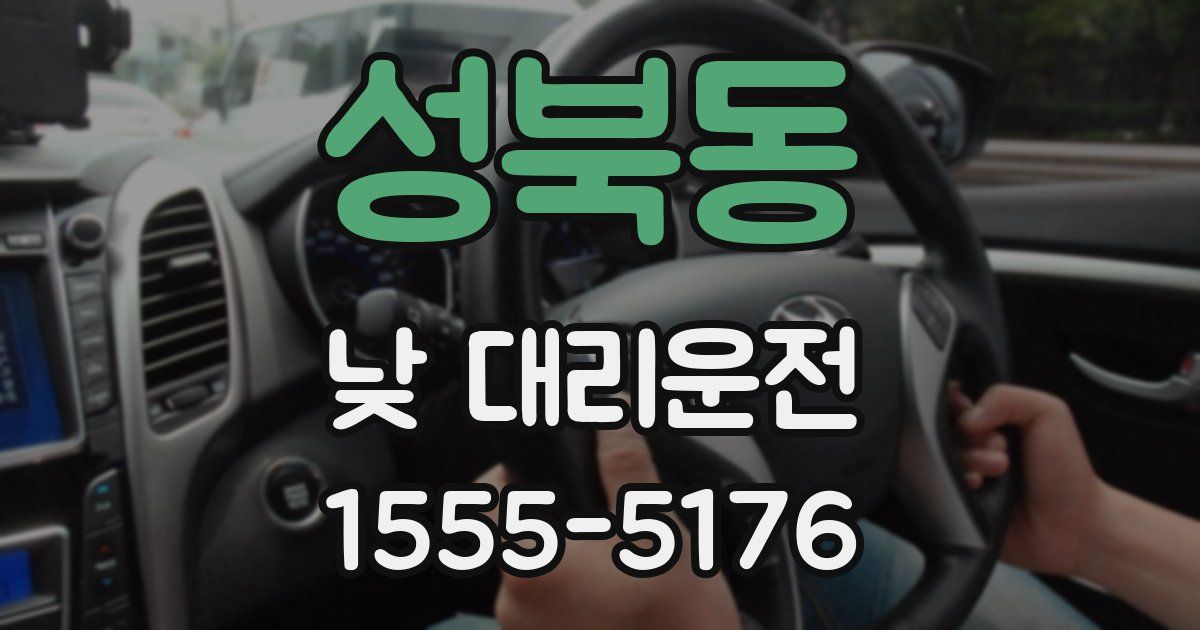 성북동 낮 대리운전