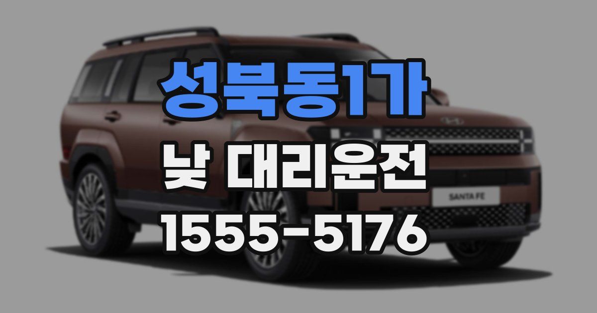 성북동1가 낮 대리운전