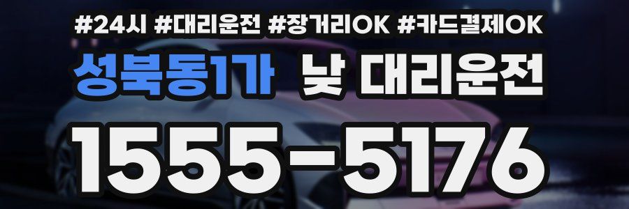 성북동1가 낮 대리운전