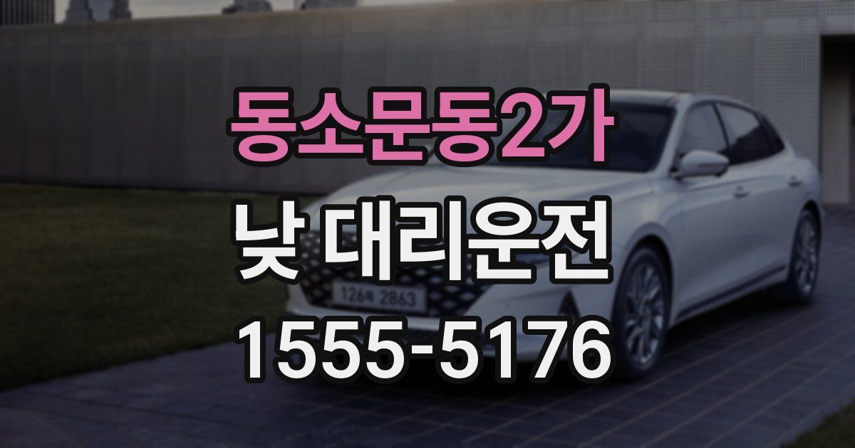 동소문동2가 낮 대리운전
