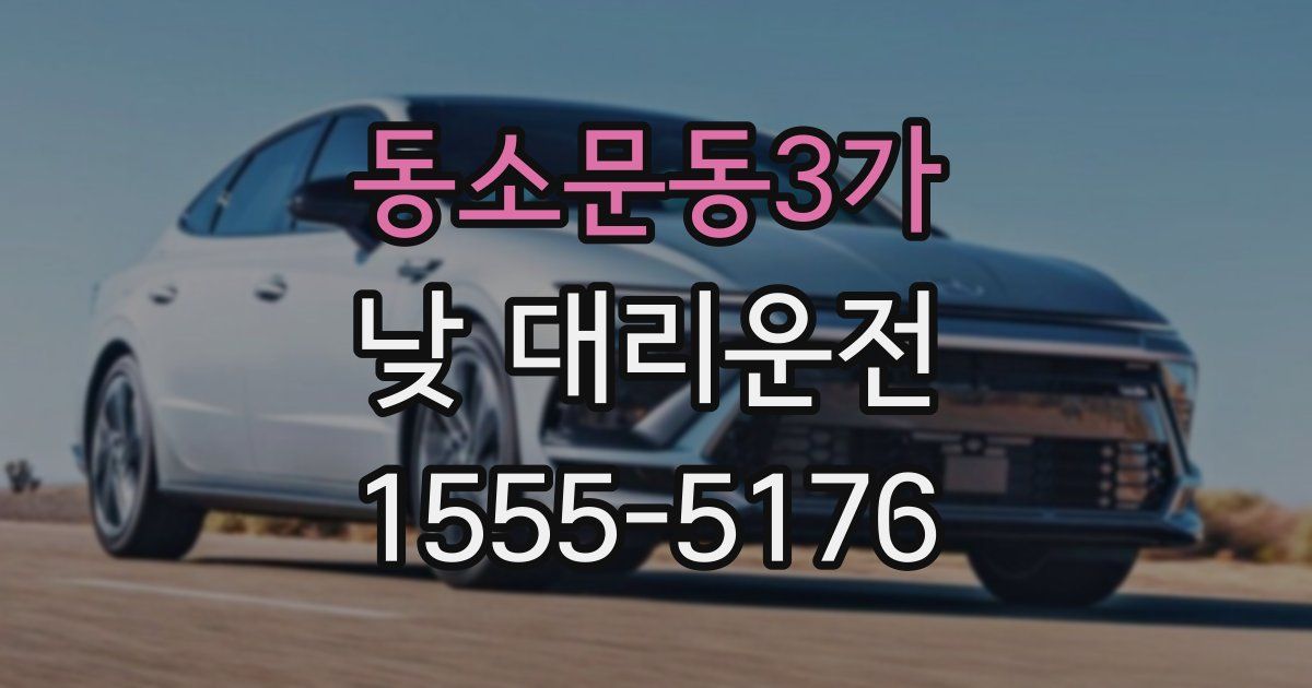 동소문동3가 낮 대리운전