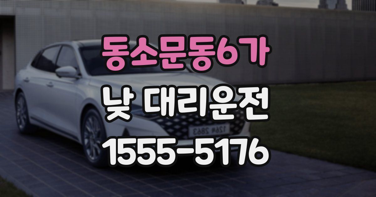동소문동6가 낮 대리운전