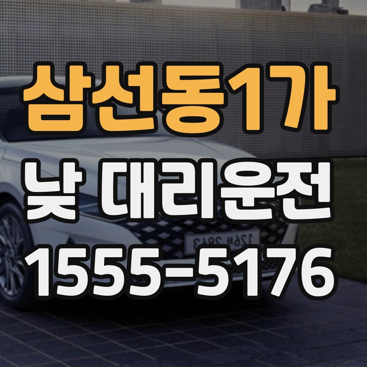 삼선동1가 낮 대리운전