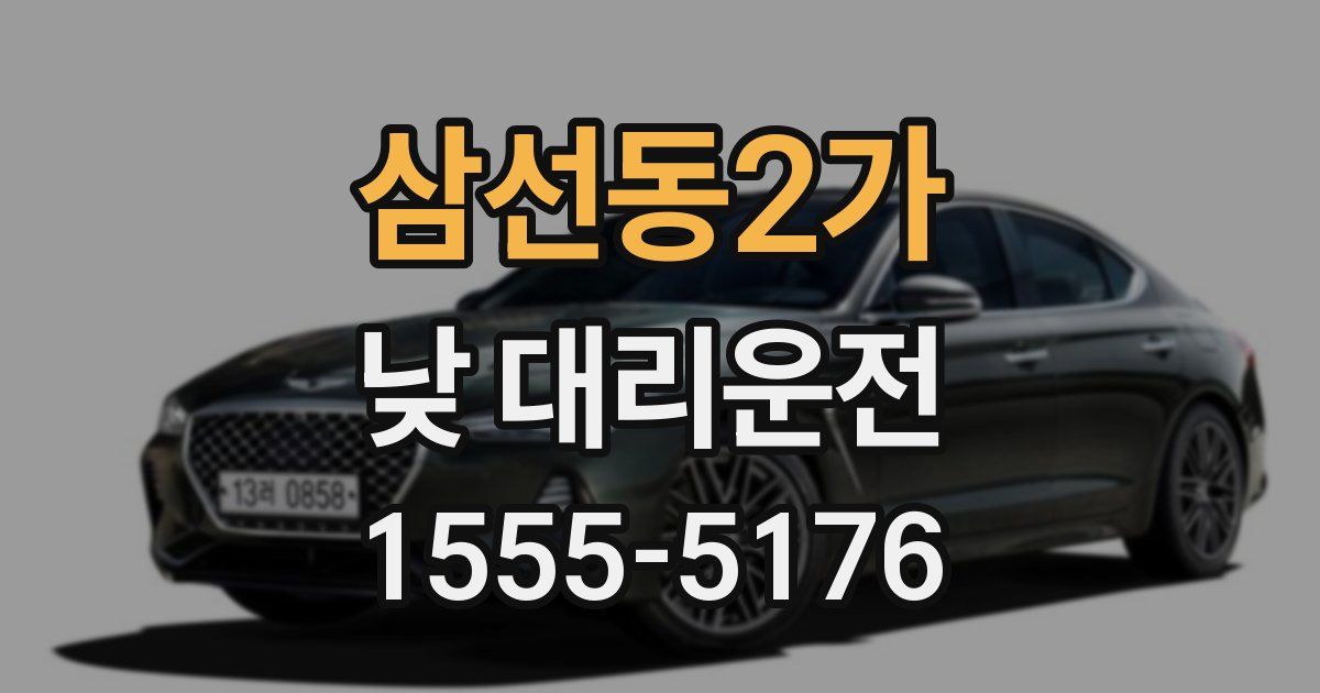 삼선동2가 낮 대리운전