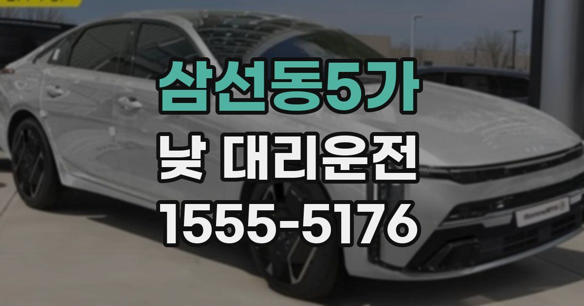 삼선동5가 낮 대리운전