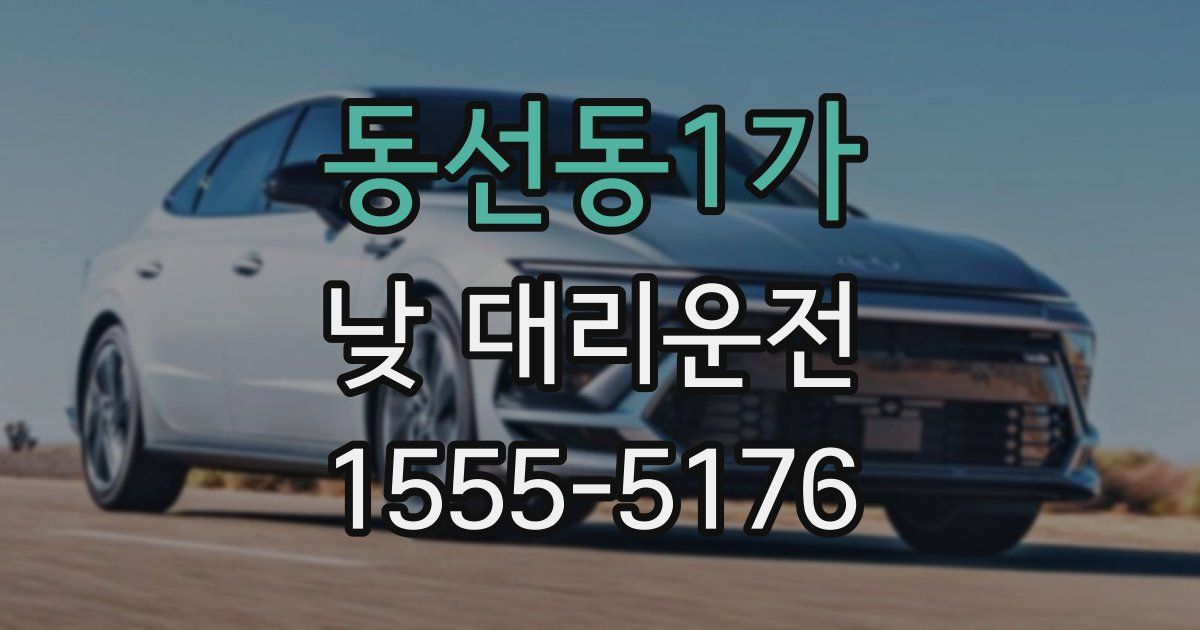 동선동1가 낮 대리운전