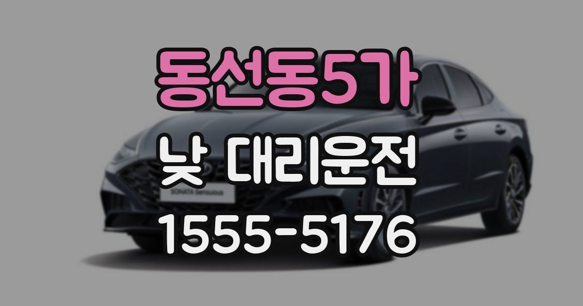 동선동5가 낮 대리운전
