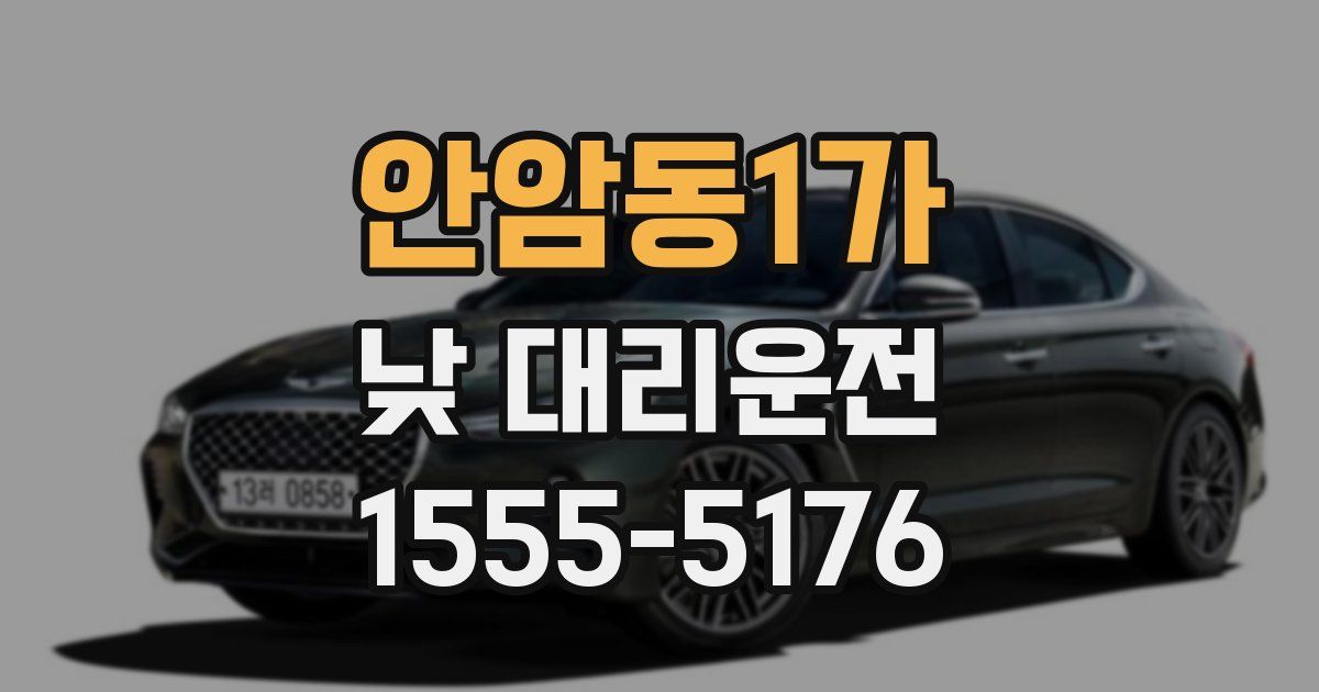 안암동1가 낮 대리운전