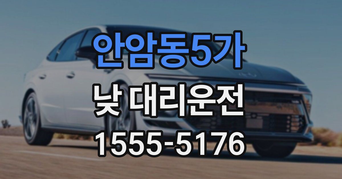 안암동5가 낮 대리운전
