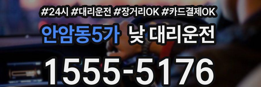 안암동5가 낮 대리운전