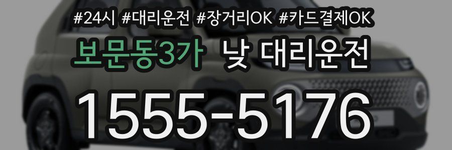 보문동3가 낮 대리운전