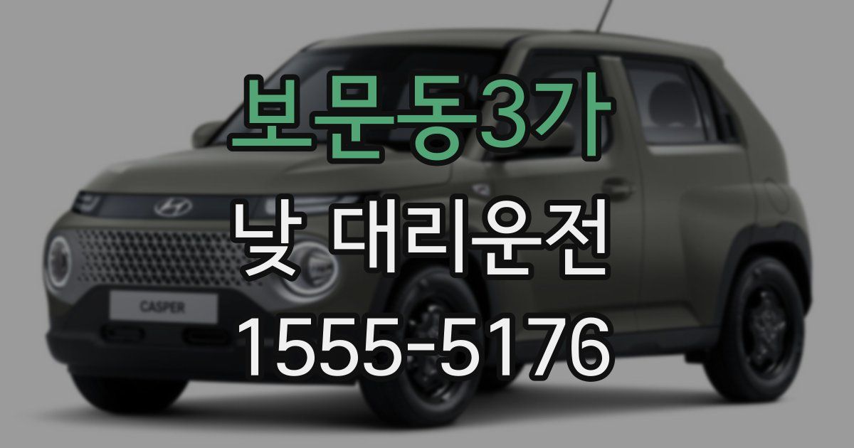 보문동3가 낮 대리운전