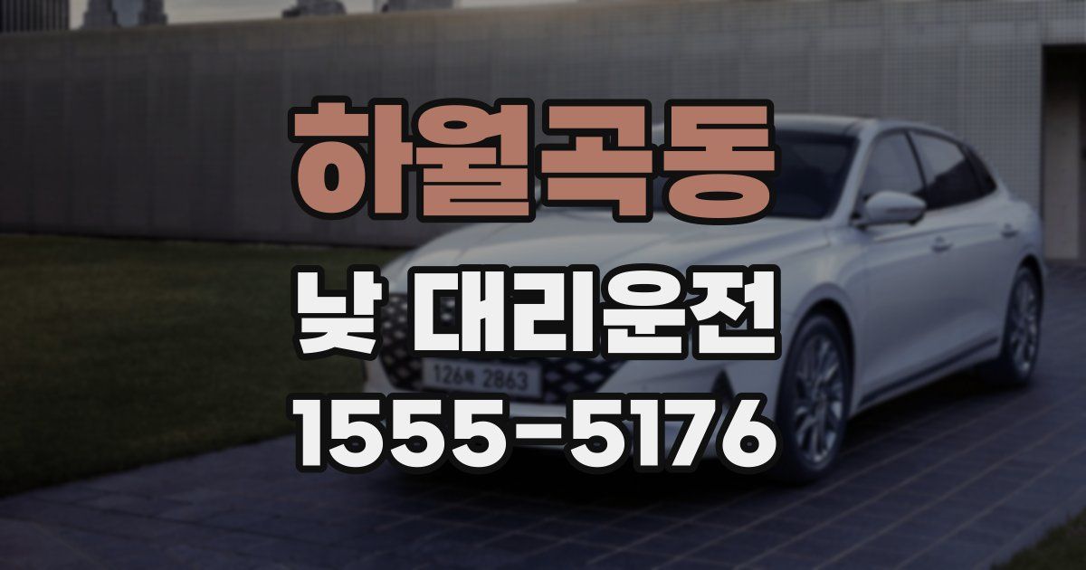 하월곡동 낮 대리운전