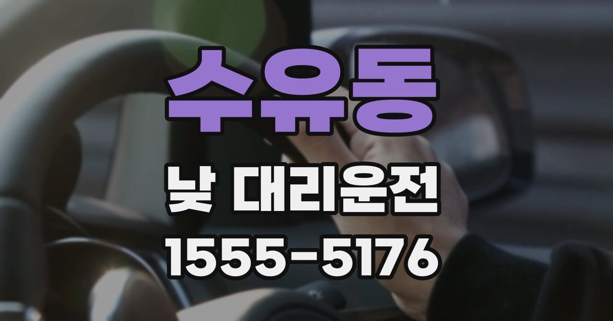 수유동 낮 대리운전