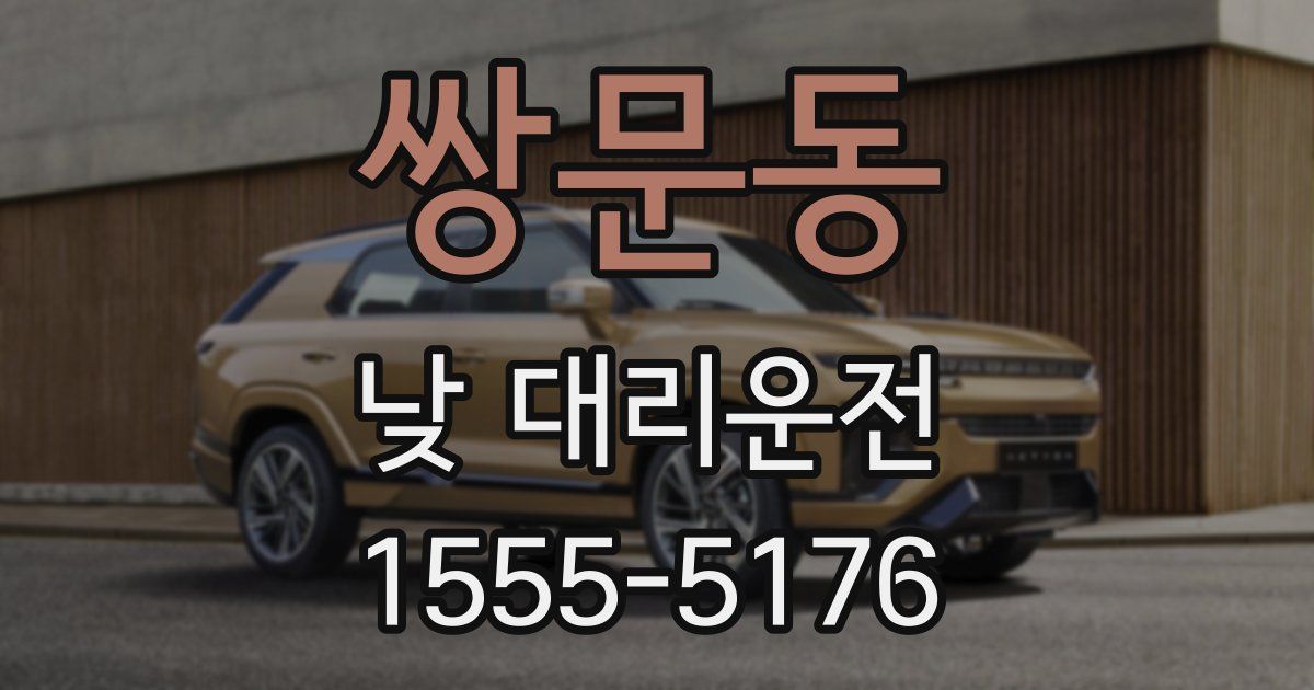 쌍문동 낮 대리운전