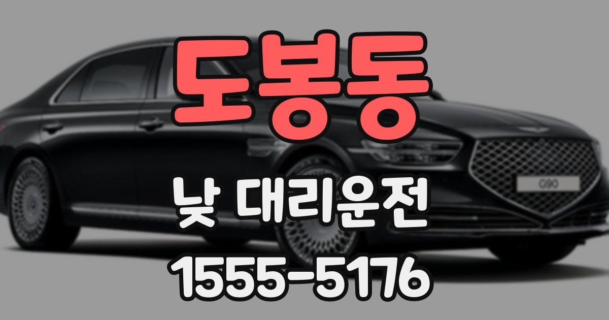 도봉동 낮 대리운전