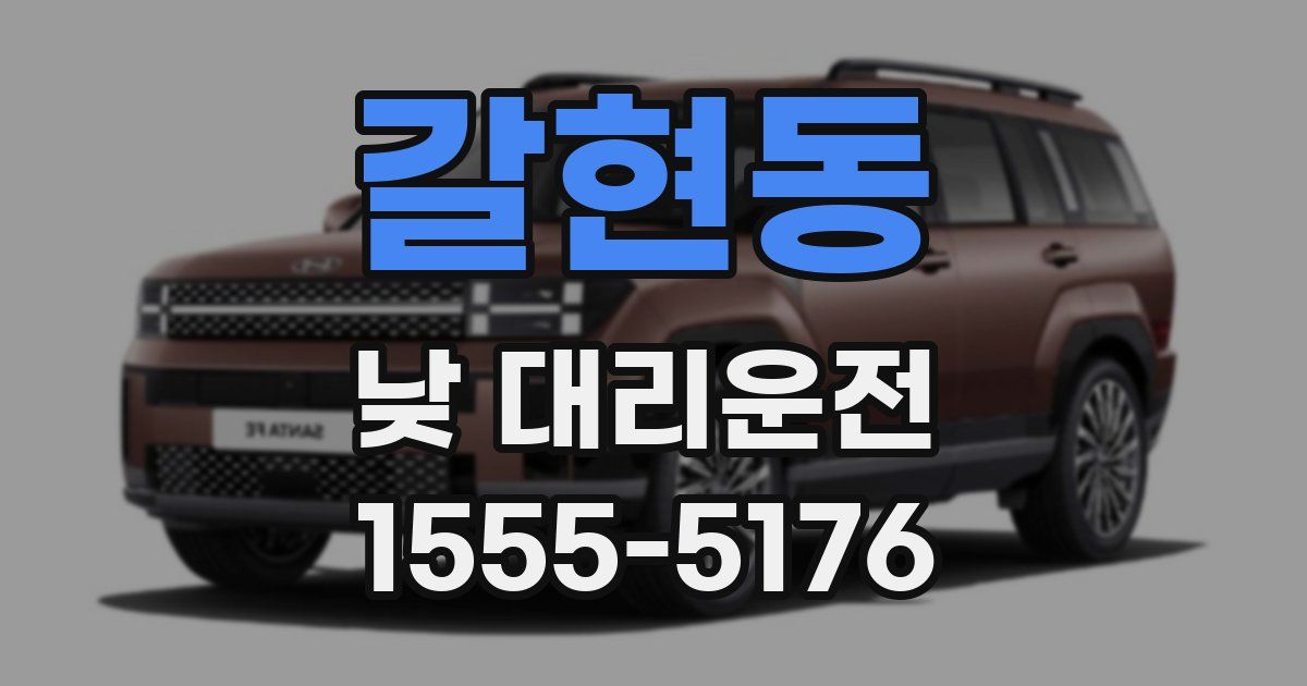 갈현동 낮 대리운전