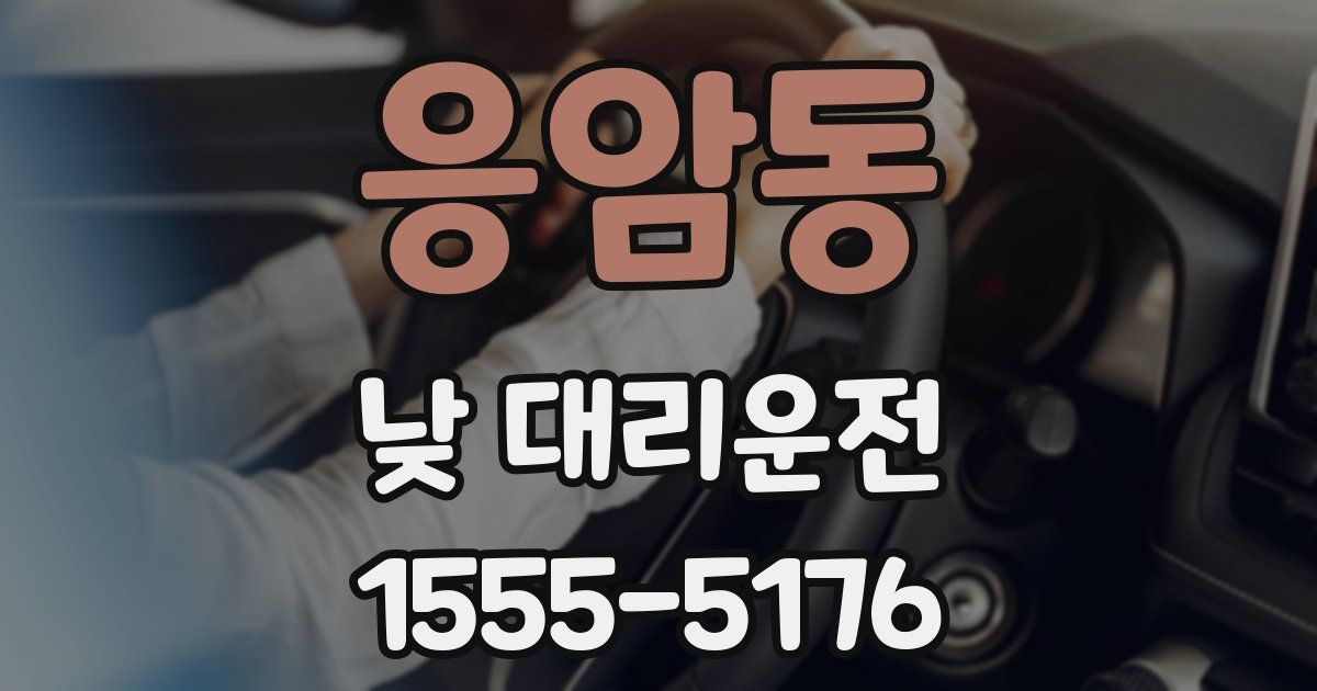 응암동 낮 대리운전