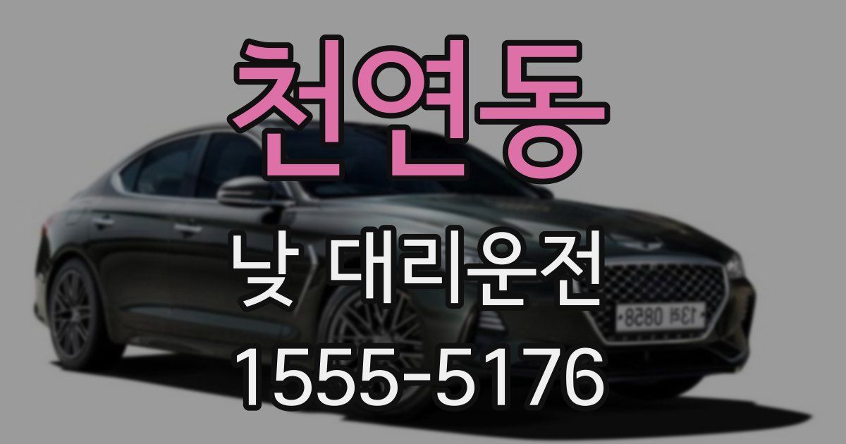 천연동 낮 대리운전