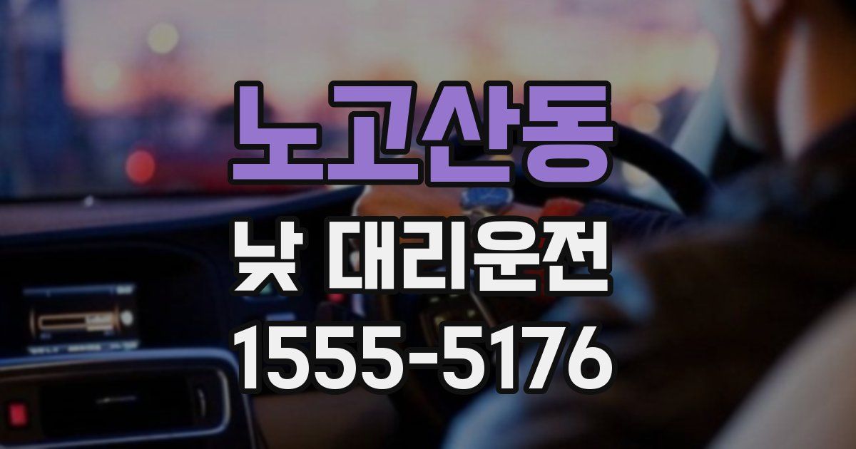 노고산동 낮 대리운전