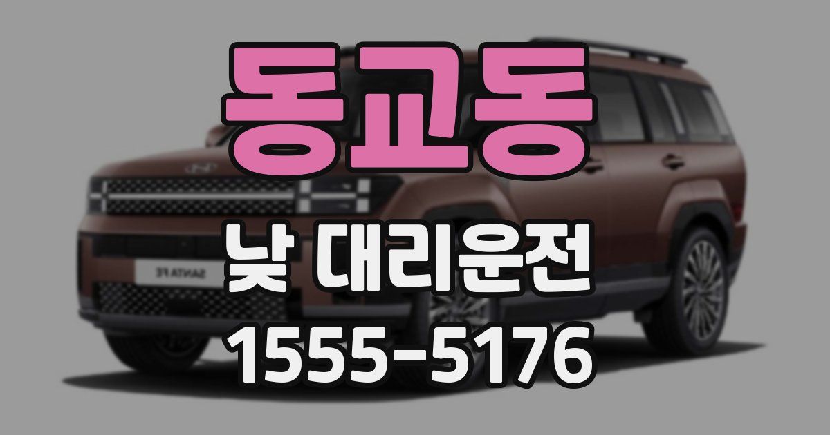 동교동 낮 대리운전