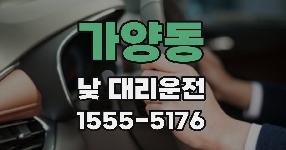 가양동 낮 대리운전