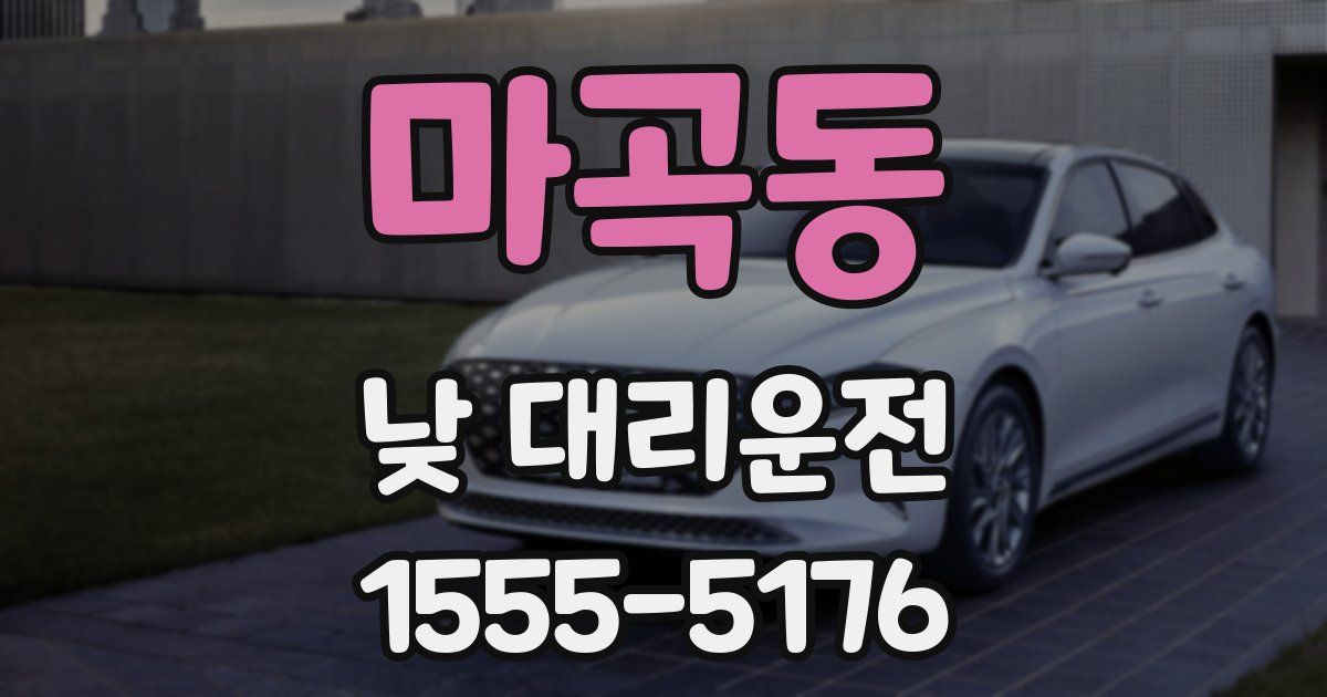 마곡동 낮 대리운전