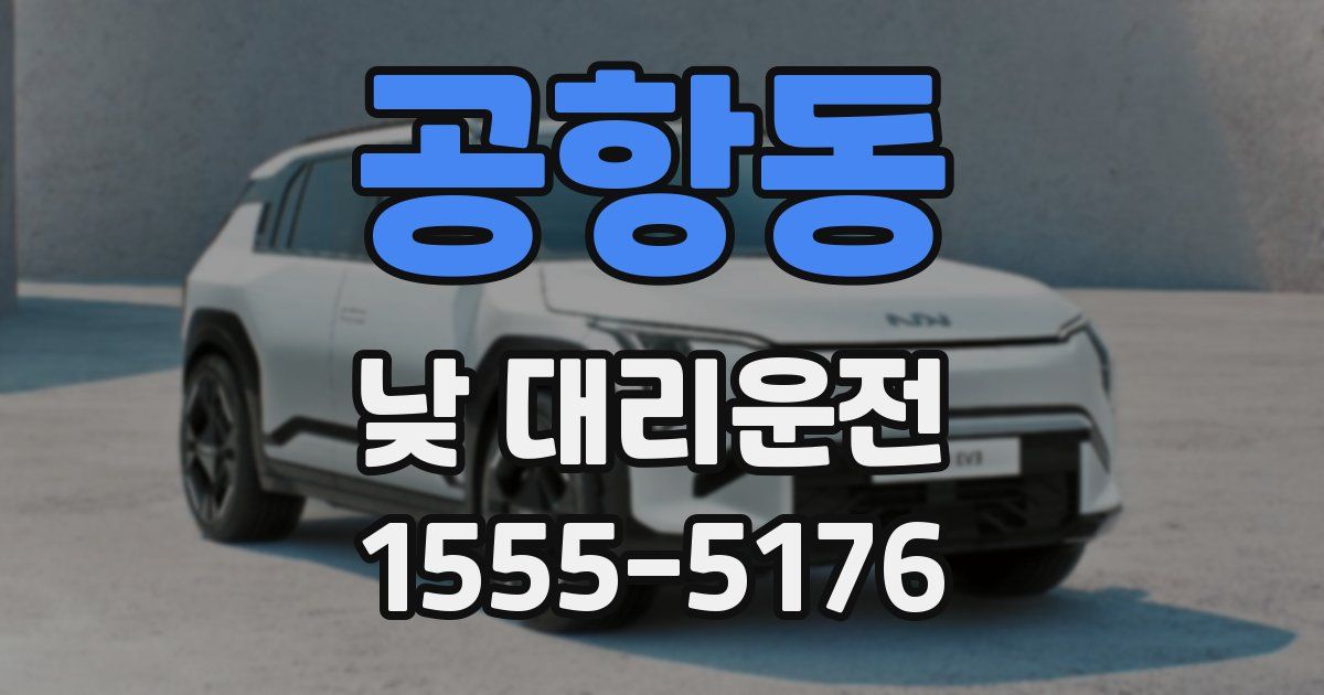 공항동 낮 대리운전