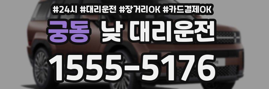 궁동 낮 대리운전