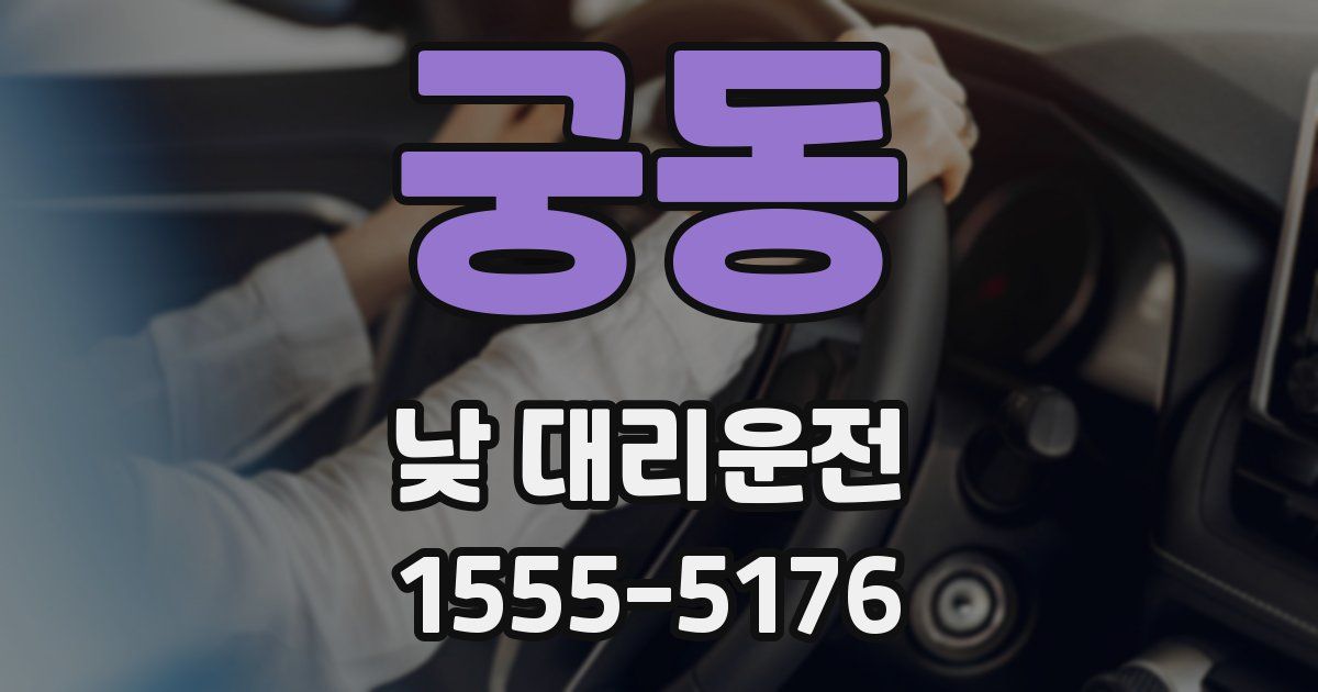 궁동 낮 대리운전