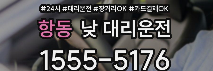 항동 낮 대리운전
