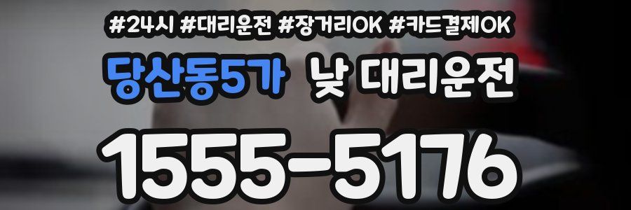 당산동5가 낮 대리운전