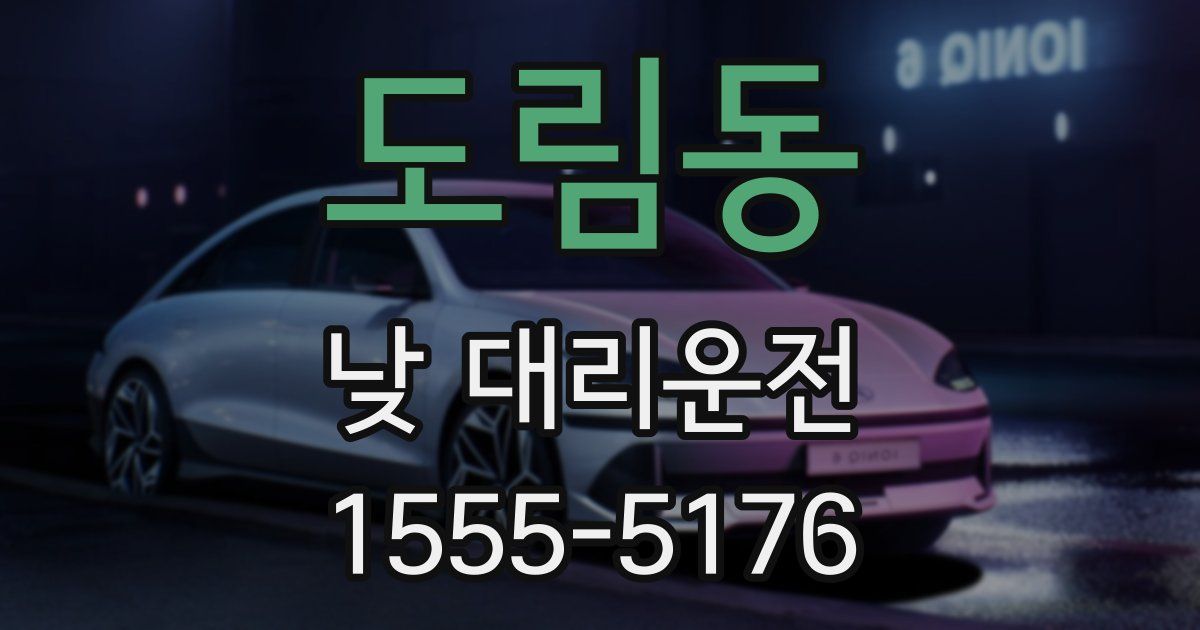 도림동 낮 대리운전