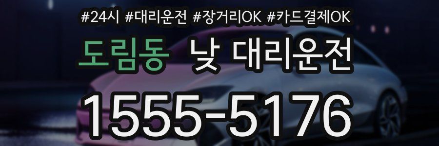 도림동 낮 대리운전