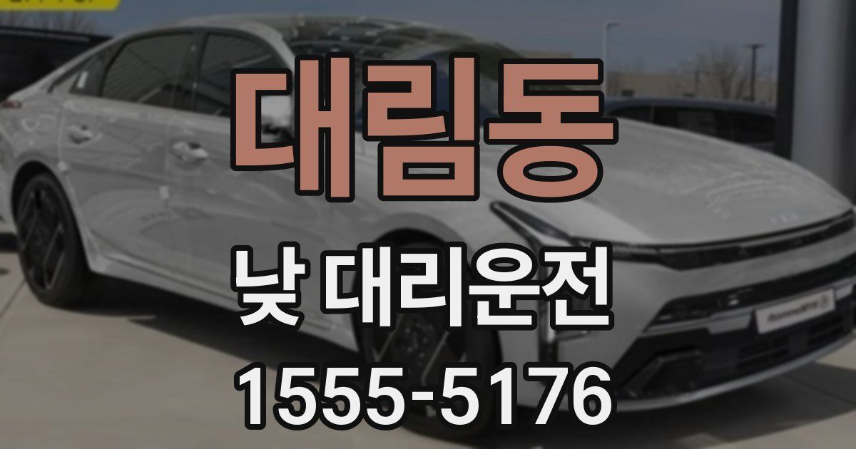 대림동 낮 대리운전