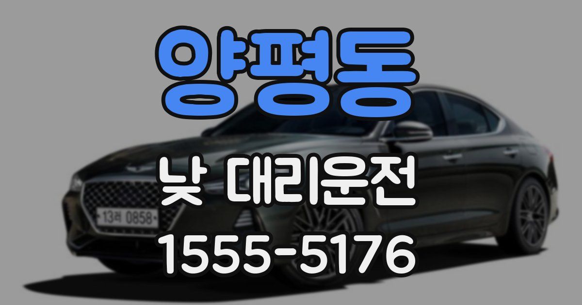 양평동 낮 대리운전