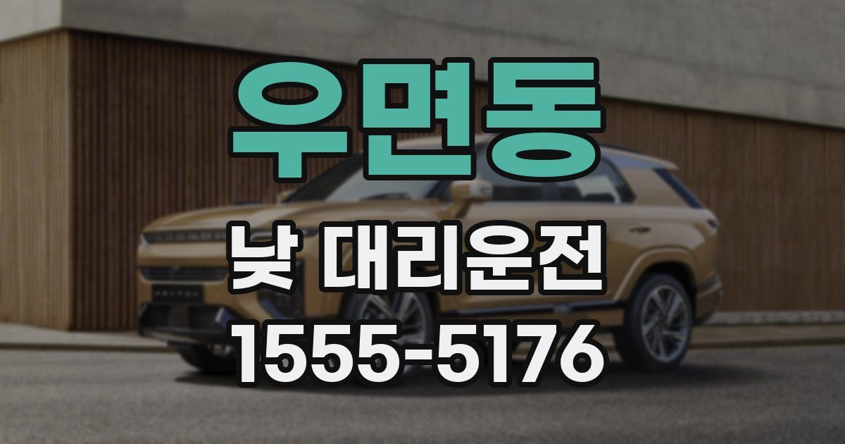 우면동 낮 대리운전