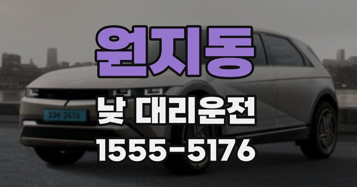 원지동 낮 대리운전